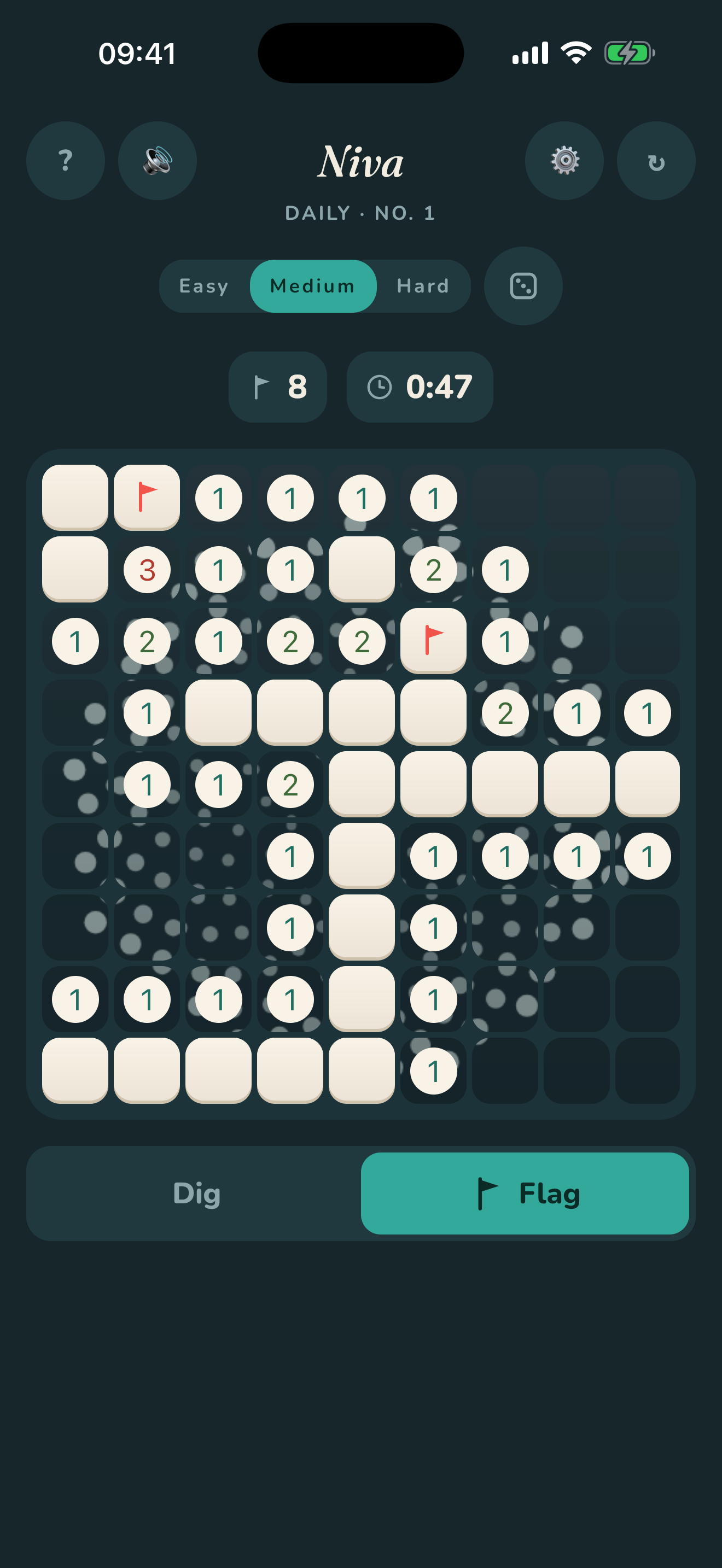Niva on iPhone — a board part-way through, showing numbered logic clues.